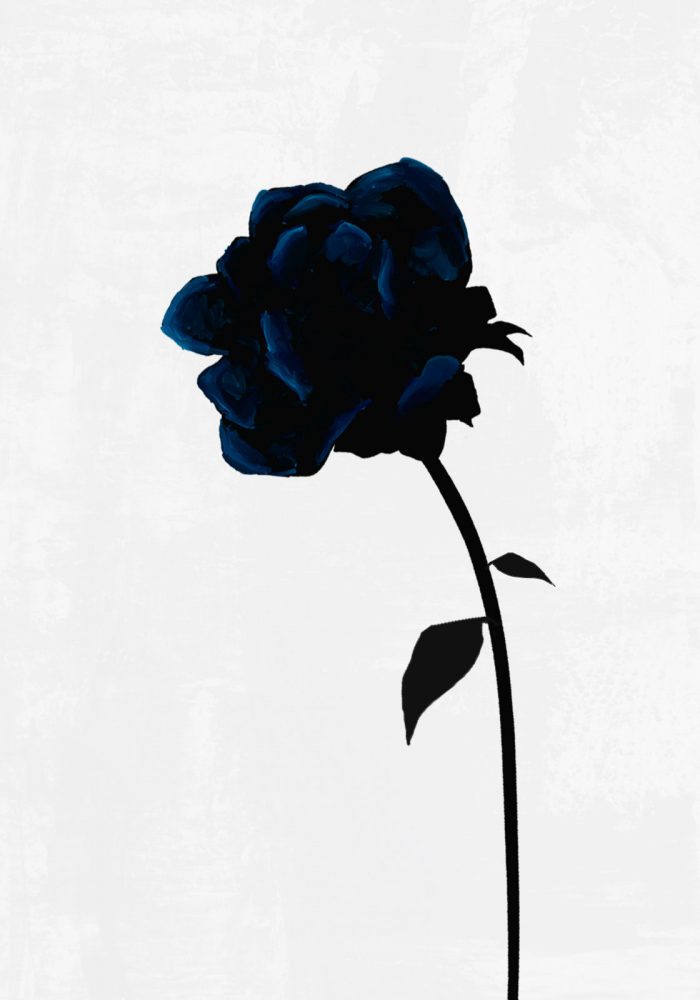 Black Rose | Paintings | PICTOCLUB